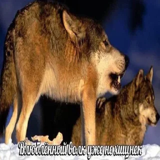 Sticker Создай свои стикеры - @sozdsti_bot - 5