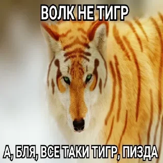 Sticker Создай свои стикеры - @sozdsti_bot - 1