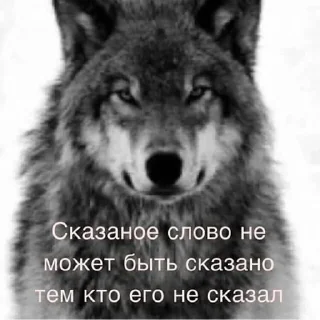 Sticker Создай свои стикеры - @sozdsti_bot - 3