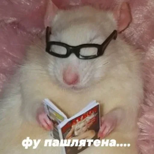 Стикер EBLuHOYFlkkzL_by_stickers_stealer_bot - 1