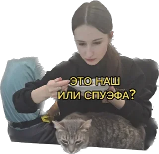 Стикер Статичные - 1