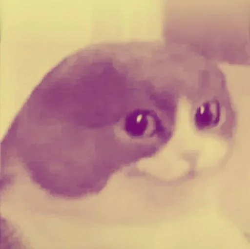 Sticker ED71_by_Dqqqwbot - 1