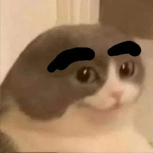 Sticker ED71_by_Dqqqwbot - 1