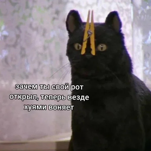 Sticker EDCuUGNI_by_stickers_stealer_bot - 1