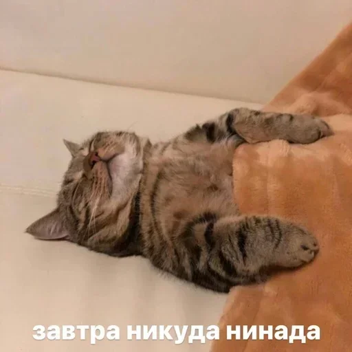 Sticker EDCuUGNI_by_stickers_stealer_bot - 1