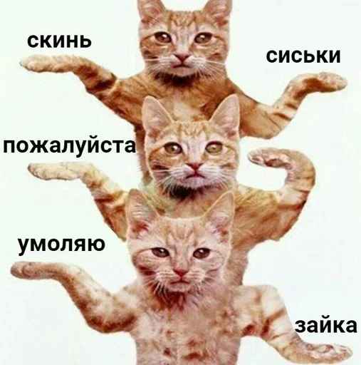 Стикер EDCuUGNI_by_stickers_stealer_bot - 1