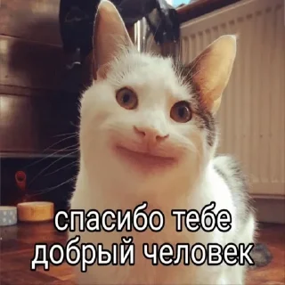 Sticker Создай свои стикеры - @sozdsti_bot - 1