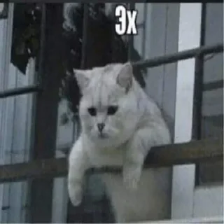 Sticker Создай свои стикеры - @sozdsti_bot - 0