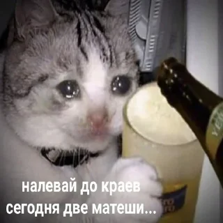 Sticker Создай свои стикеры - @sozdsti_bot - 2