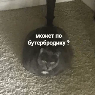 Sticker Создай свои стикеры - @sozdsti_bot - 10