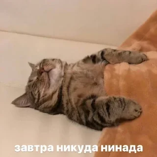 Sticker Создай свои стикеры - @sozdsti_bot - 6