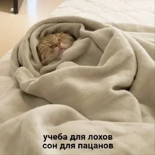 Sticker Создай свои стикеры - @sozdsti_bot - 3