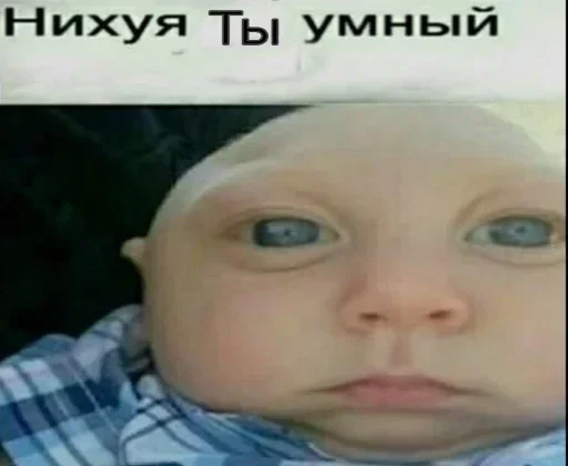 Стикер EDTCJhuDoSKX_by_stickers_stealer_bot - 1