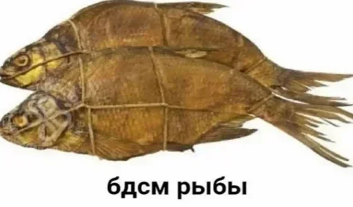 Sticker EHBKHMsxwP_by_Sticker363728bot - 1