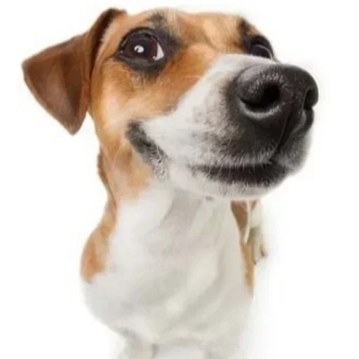 @stickeri_tg 💋<-- стикеры тут - 