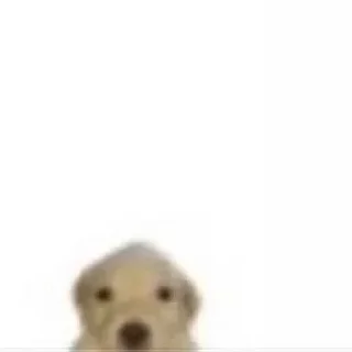 Sticker @stickeri_tg 💋<-- стикеры тут - 4