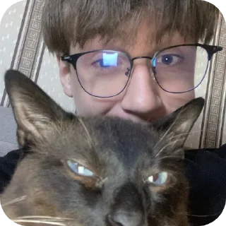 Sticker КЭШЗОЛ ( Stickers-Pack Create:"Lineika_0_0" ) - 2