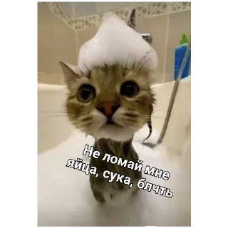 Sticker Эх Богдан, Богдан,боооогдан богом дан - 9