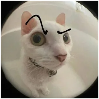 Sticker Эх Богдан, Богдан,боооогдан богом дан - 6