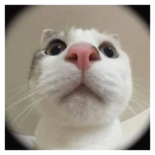 Sticker Эх Богдан, Богдан,боооогдан богом дан - 0