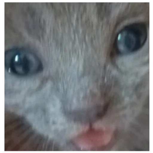 Эй колючка - 