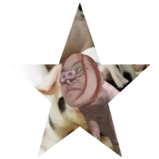 Sticker Эй колючка - 11