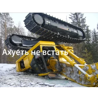 transport outdoor tree