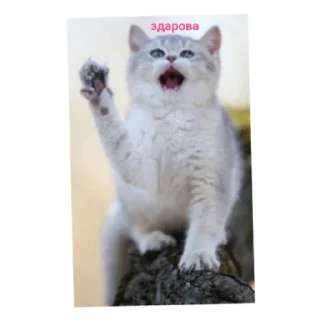 Sticker Эмоджи - 6