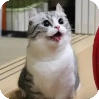 Sticker Обычный пак😐 - 11