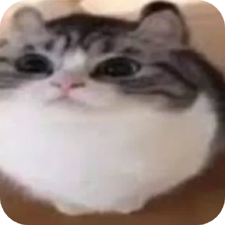 Sticker Обычный пак😐 - 4