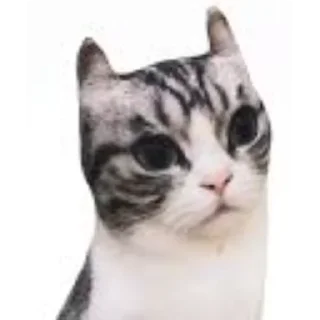 Sticker Обычный пак😐 - 7