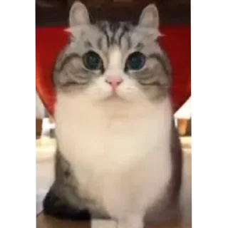 Sticker Обычный пак😐 - 5