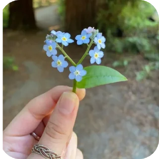 Sticker Эстетика - 3