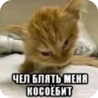 Sticker Это пзд - 6