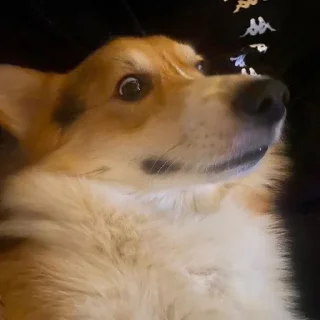 Стикер хуета @WmojiBot - 8