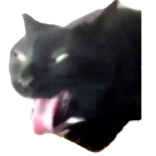 Всрат by @stqrapp - 