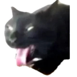 Sticker Всрат by @stqrapp - 3