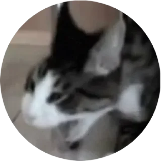 Sticker Всрат by @stqrapp - 2