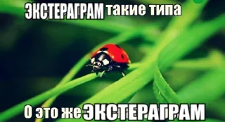 Sticker ЭКСТЕРАГРАМ • @exteraGram - 11