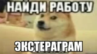 Sticker ЭКСТЕРАГРАМ • @exteraGram - 7