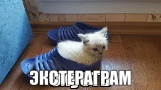 Sticker ЭКСТЕРАГРАМ • @exteraGram - 4