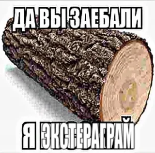 Sticker ЭКСТЕРАГРАМ • @exteraGram - 8