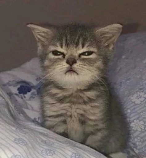 Sticker EKEHKVELQW_by_moyi_stikery_bot - 1