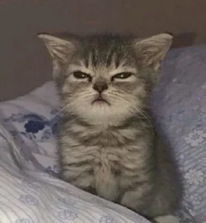 Sticker Мой стикерпак @moyi_stikery_bot - 7