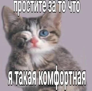 Sticker Больше стиков тут: @stikery4 - 10