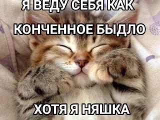 Sticker Больше стиков тут: @stikery4 - 4