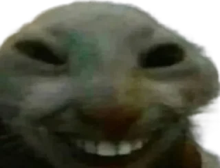 Sticker Sonya Erikson Shit Photos - 6