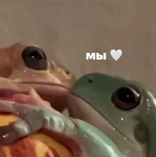 Sticker ELINOCHKA - 9