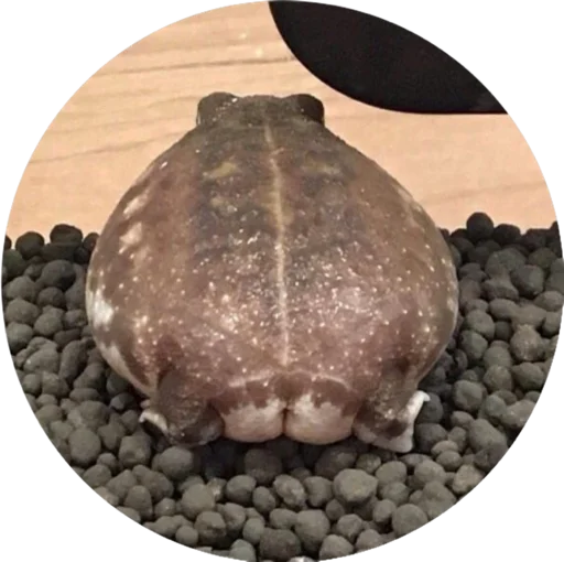 Sticker ELINOCHKA - 7