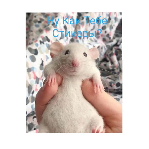 Sticker EMUPACK30 - 1